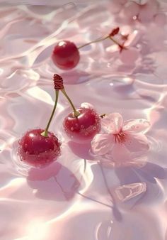 two cherries floating in water with pink flowers