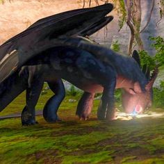 an animated image of a dragon attacking another creature in the grass with its wings spread