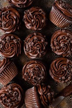 chocolate cupcakes with swirly frosting on a plate