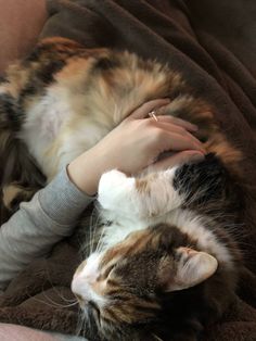 a woman is petting a cat on the back of a couch with her arm wrapped around it