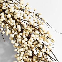 a bunch of white berries hanging from a twig