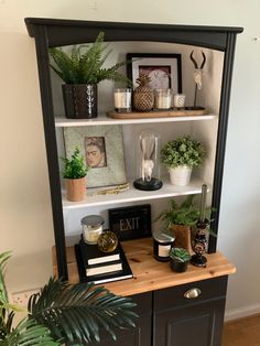 a shelf with plants and pictures on it