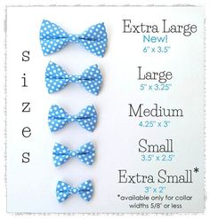 four small blue and white polka dot bow ties with extra large bows on each side