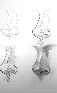 three different views of the same face and nose, one is drawn in graphite