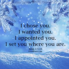 a snowy scene with the words i chose you i wanted you i appointed you i set you where you are