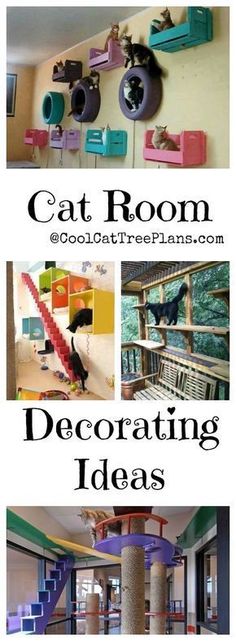 cat room decorating ideas with cats on the ceiling and in the living room area