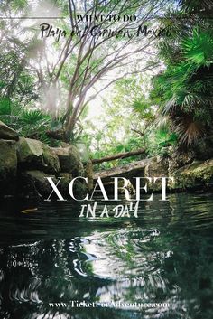 the cover of xcarft in a day magazine with water and trees around it