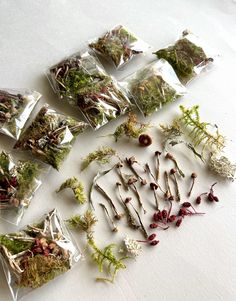 several bags filled with plants sitting on top of a white table next to each other