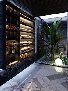 an indoor wine cellar with many bottles on the shelves and plants in front of it