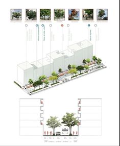 an architectural diagram shows the various areas in which trees are planted