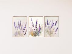 three framed pictures with lavender flowers on them