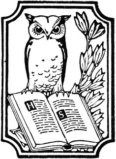 an owl sitting on top of an open book