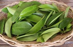 a basket filled with green leaves on top of a wooden floor