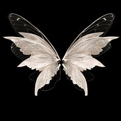 a white and black butterfly flying in the air with its wings spread out to look like it