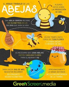 the spanish poster shows different types of bees