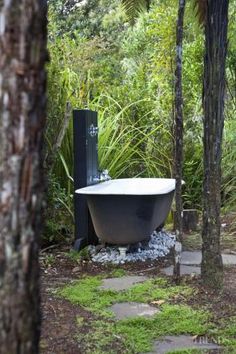 a bath tub sitting in the middle of a forest