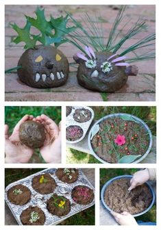 several pictures showing different stages of growing plants in pots and potted plants with hands