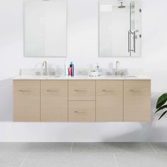 a bathroom with two sinks, mirrors and a plant on the floor in front of it