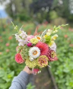 a person holding a bouquet of flowers in their hand