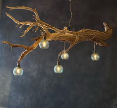 a tree branch with lights hanging from it's branches and some glass globes