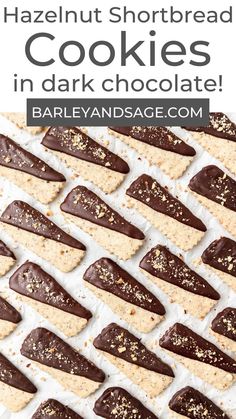 chocolate dipped shortbread cookies in dark chocolate on a sheet of parchment paper with text overlay that reads, hazelnut shortbread cookies in dark chocolate