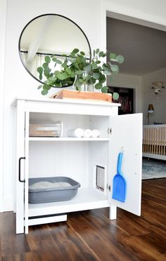 a white shelf with a mirror and some plants on it in a room that has hardwood floors