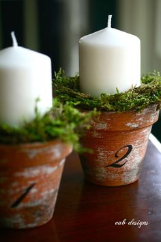 two white candles sitting on top of a wooden table next to a potted plant