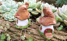 two small garden gnomes sitting on top of a tree trunk next to succulents