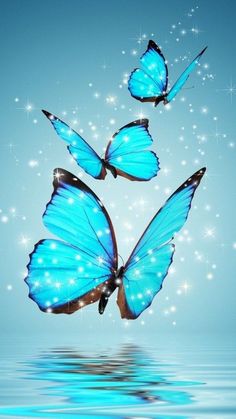 three blue butterflies flying over water with sparkles in the sky and stars behind them