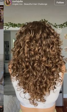 V Shaped Haircut With Layers Curly Hair, Light Curly Brown Hair, Light Brown Hair Natural Curls, Blondish Brown Hair Curly, Curly Hair Inspo Cut, Soft Brown Curly Hair, Light Brown Hair On Curly Hair, Brown Curly Hairstyles, Hair Color Inspo Curly Hair