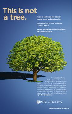 an advertisement for depaul university showing a tree with green leaves and blue sky in the background