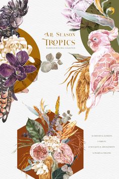 an illustration of tropical flowers and birds on a white background with the words all season tropics