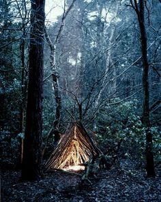 a teepee in the woods at night