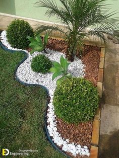 a small garden with rocks and plants in it