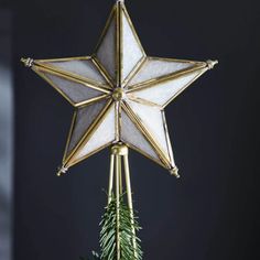 a white and gold star ornament hanging from a christmas tree with pine needles