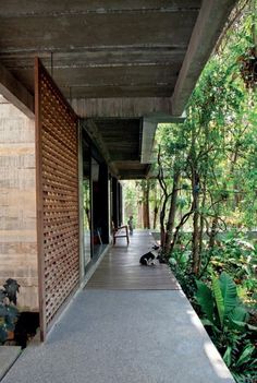 a dog laying down on the porch of a house with trees and plants around it