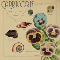 an old book with flowers and other things on the cover that are labeled as capricorn