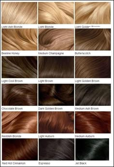 Clairol Hair Color Chart, Digital Lookbook, Hair Palette, Clairol Hair Color, Hair Color Chart, Caramel Hair, Hair Color Shades, Super Hair, Trendy Hair Color