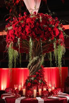 a very tall tree with lots of red flowers and greenery on it's branches