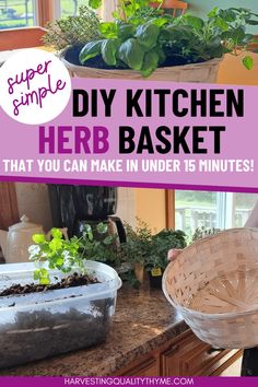 a woman is holding a basket full of plants in the kitchen with text overlay saying diy kitchen herb basket that you can make in under 15 minutes