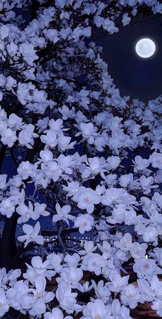 the full moon shines brightly in the sky above some white flowers on a tree