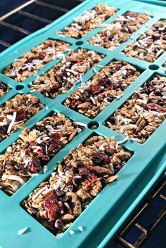 homemade granola bars are lined up in an ice tray on the oven rack, ready to go into the oven