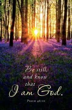 I Am God, Church Bulletin, Beautiful Bible Verses, Be Still And Know, Psalm 46 10, Biblical Quotes, Bible Prayers