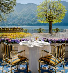 two chairs sitting at a table in front of a tree and flowers with mountains in the background