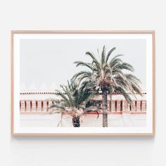 two palm trees in front of a white wall with a wooden frame hanging on the wall