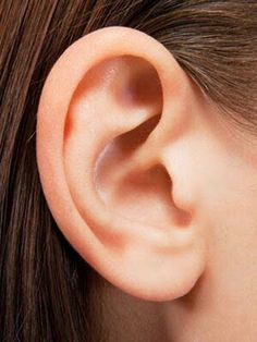 an ear with two black dots on it