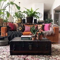 a living room filled with lots of plants next to a couch and coffee table on top of a colorful rug