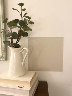 a white vase sitting on top of a wooden table next to a mirror and potted plant