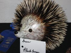 a hedgehog statue with a blue ribbon around it's neck and name tag