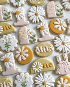 decorated cookies are arranged in the shape of flowers